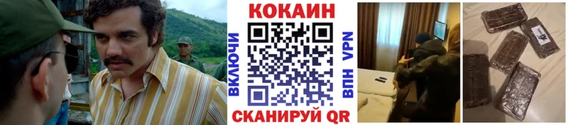 Купить закладки Старица COCAIN VHQ