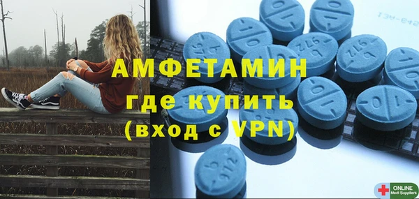 ГАЛЛЮЦИНОГЕННЫЕ ГРИБЫ Инсар